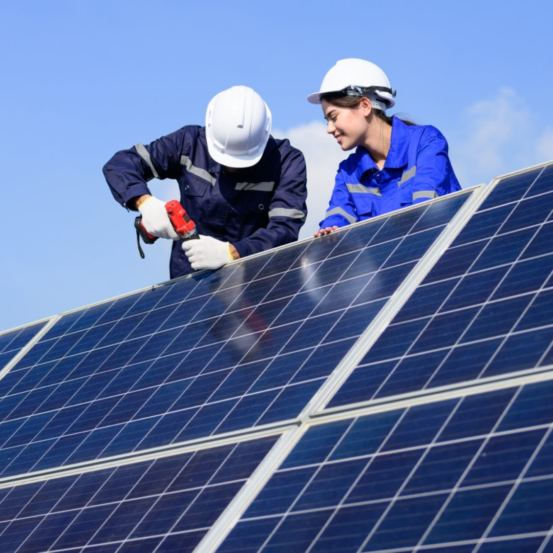 Design sem nome 2024 10 22T115914.583